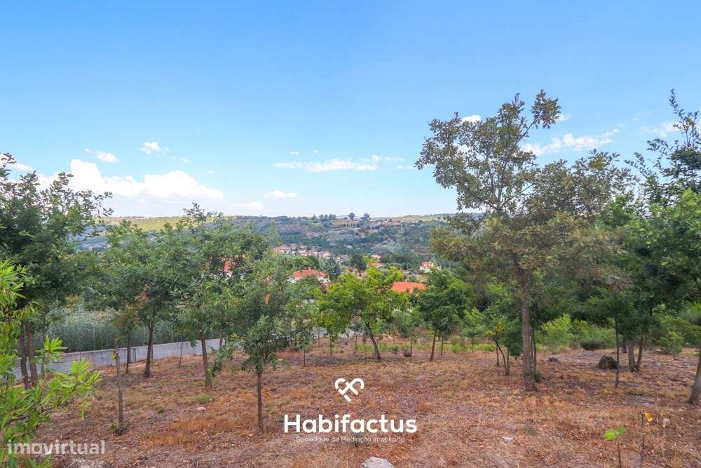 Lote de terreno urbano com 5003 m2 para venda em Santos Êvos-14