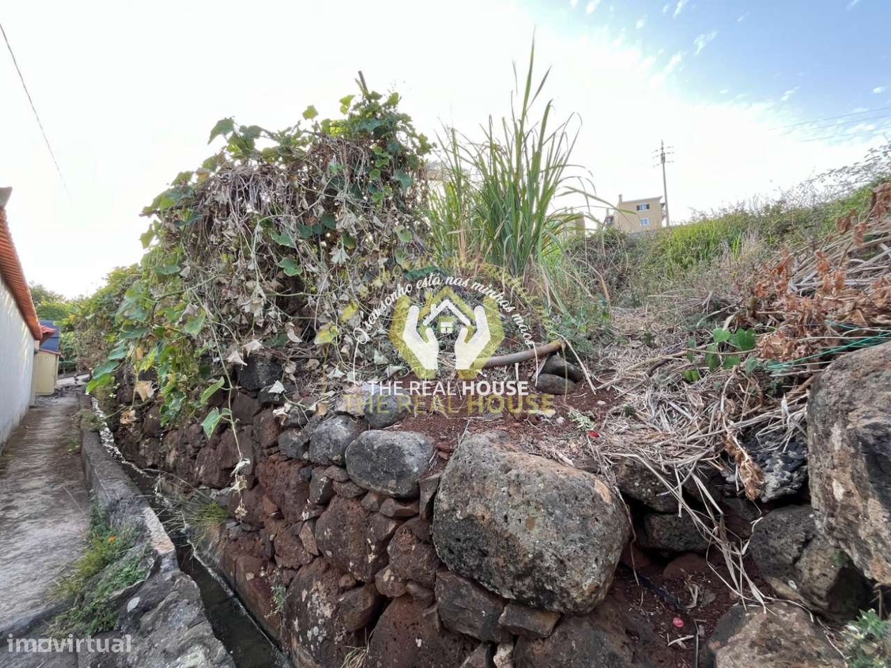 Terreno para Construção em Santa Cruz - Grande imagem: 5/9