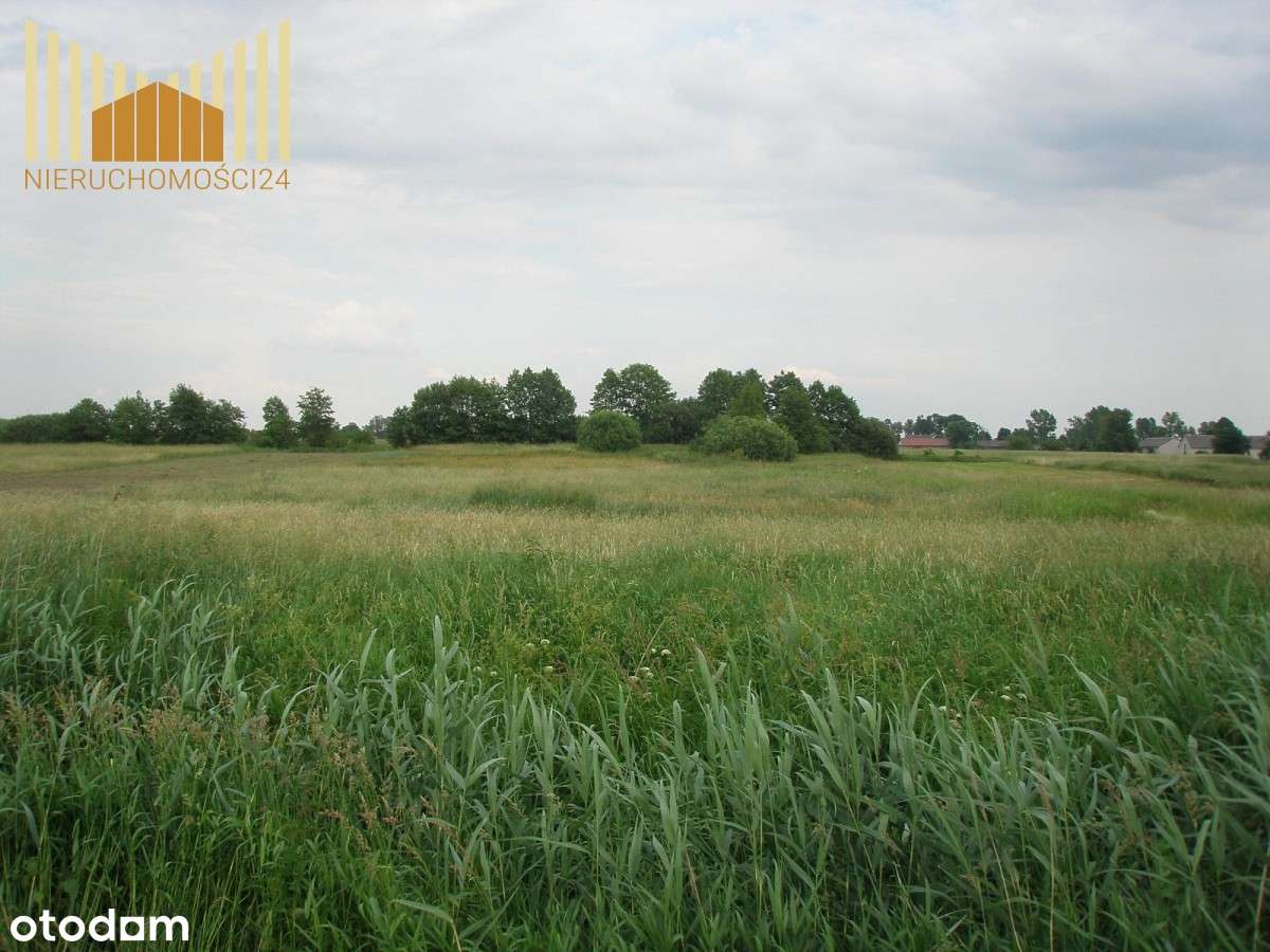 373097 - Pełny obrazek: 2/6