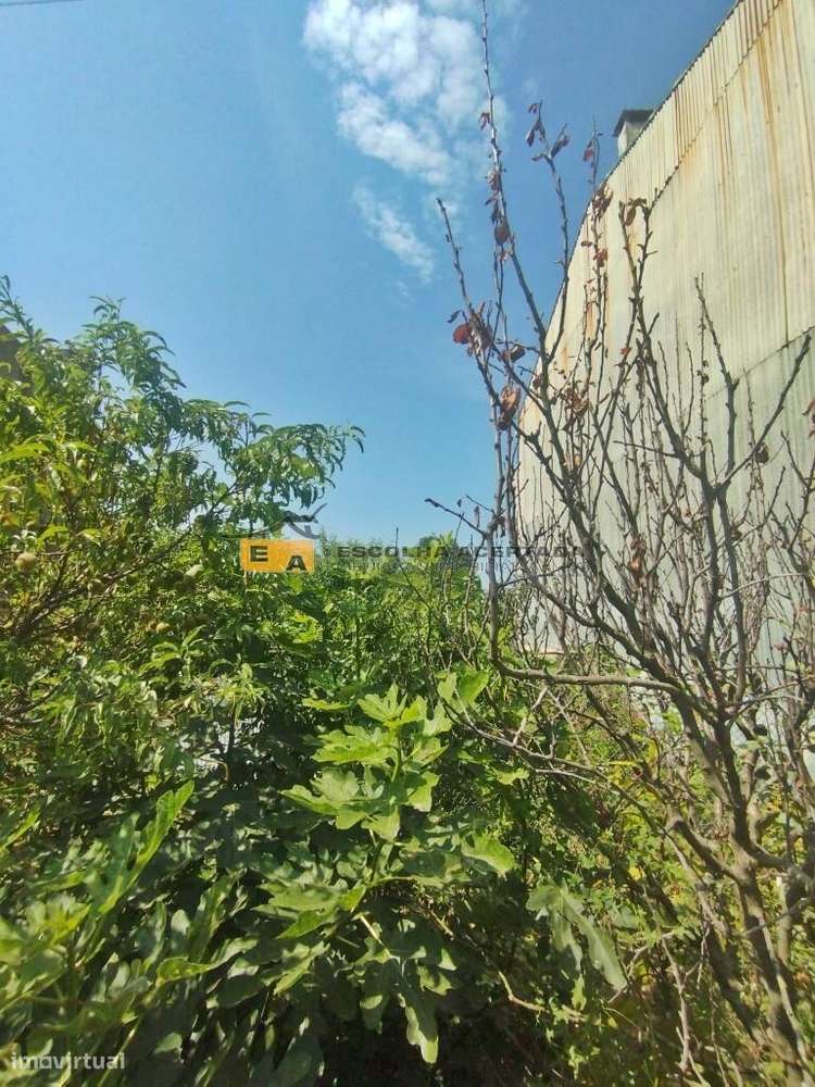 Terreno Leça da Palmeira - Grande imagem: 5/6