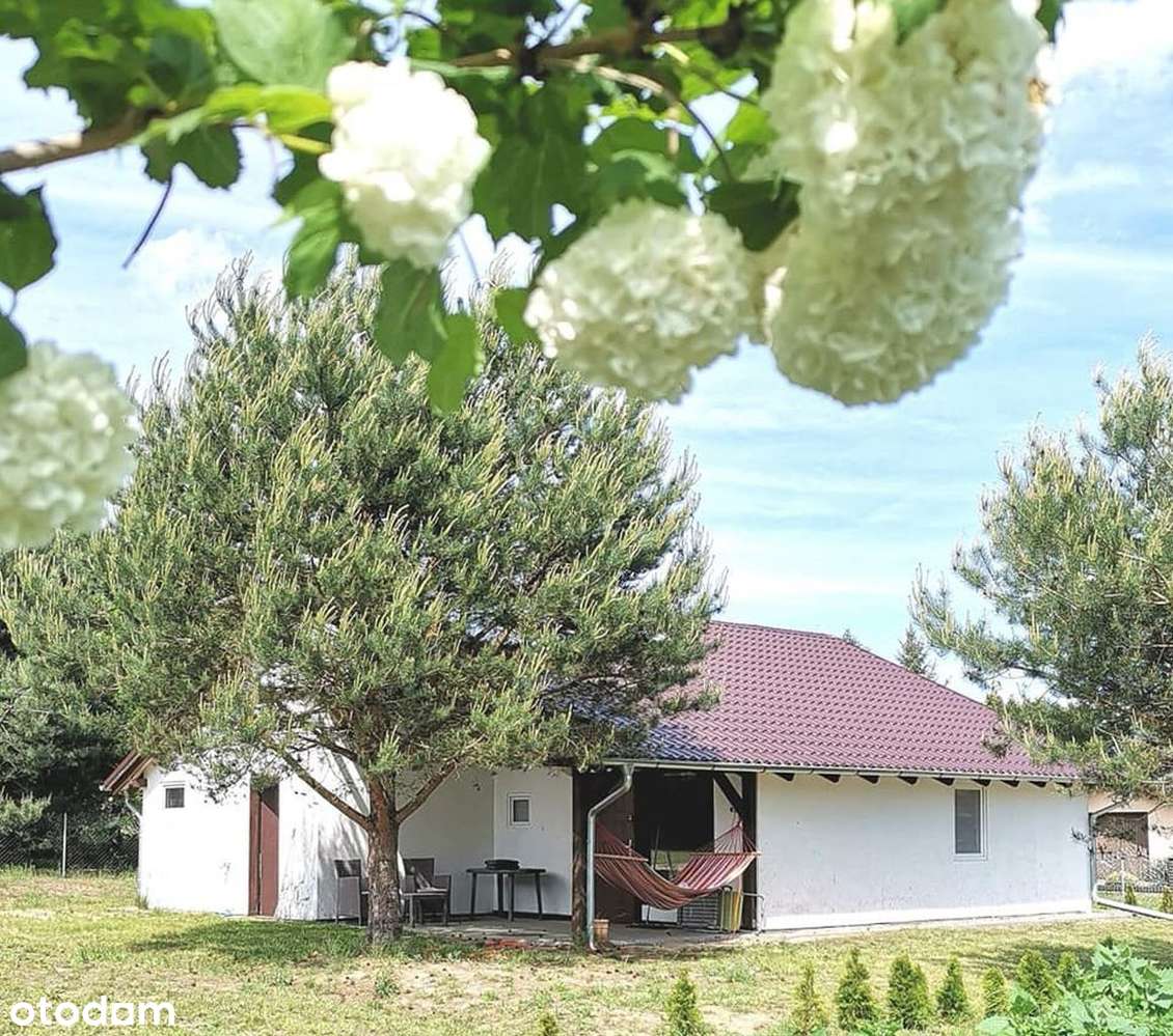 4 domki letniskowe - ośrodek turystyczny - Pełny obrazek: 3/17