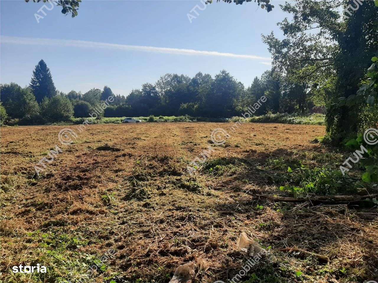 Teren intravilan de vanzare 1856 mp in Avrig zona Valea Avrigului - Imagine principală: 4/6