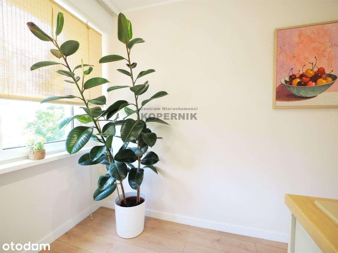 Promocja Urzekające 4 pokoje - Pierwsze Piętro !!!-9