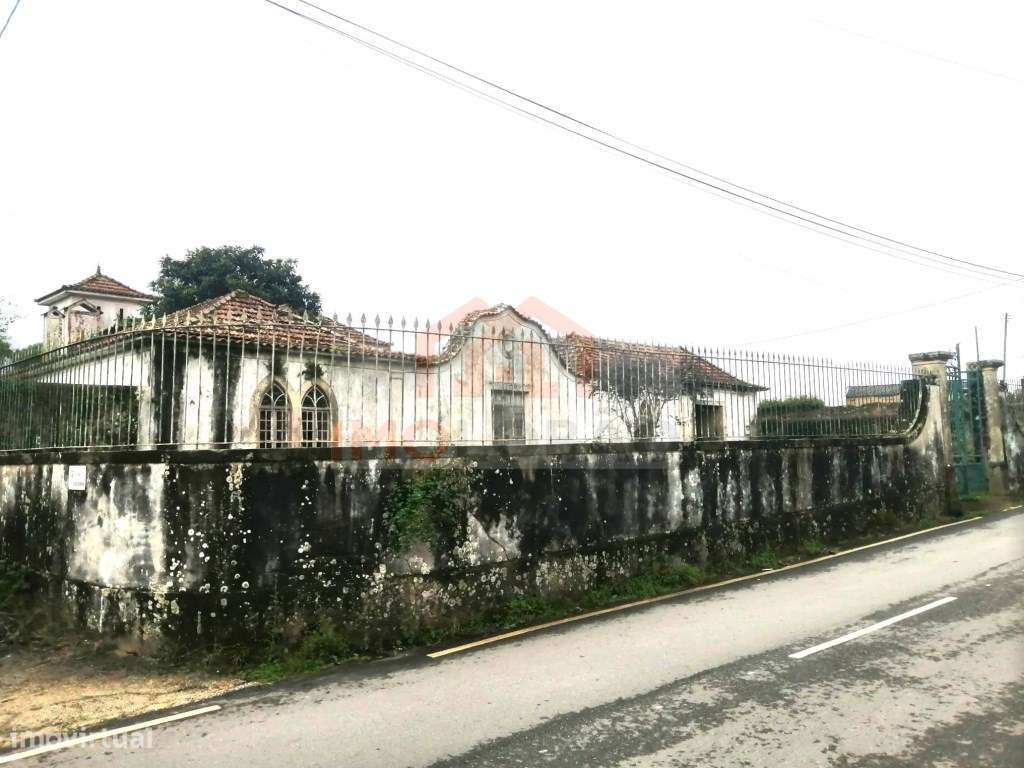 QUINTA - GIÃO-33