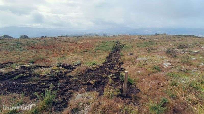 Terreno - 1200 m2 - Revelhe - Fafe - Grande imagem: 5/6