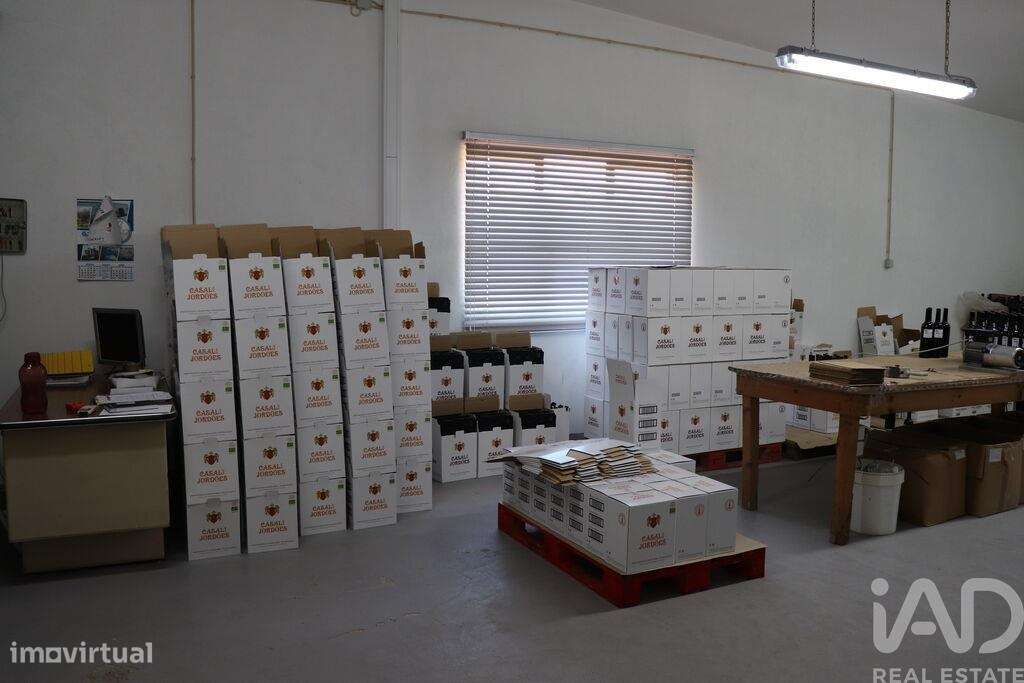 Hangar em Ervedosa do Douro de 841,00 m2 - Grande imagem: 3/24