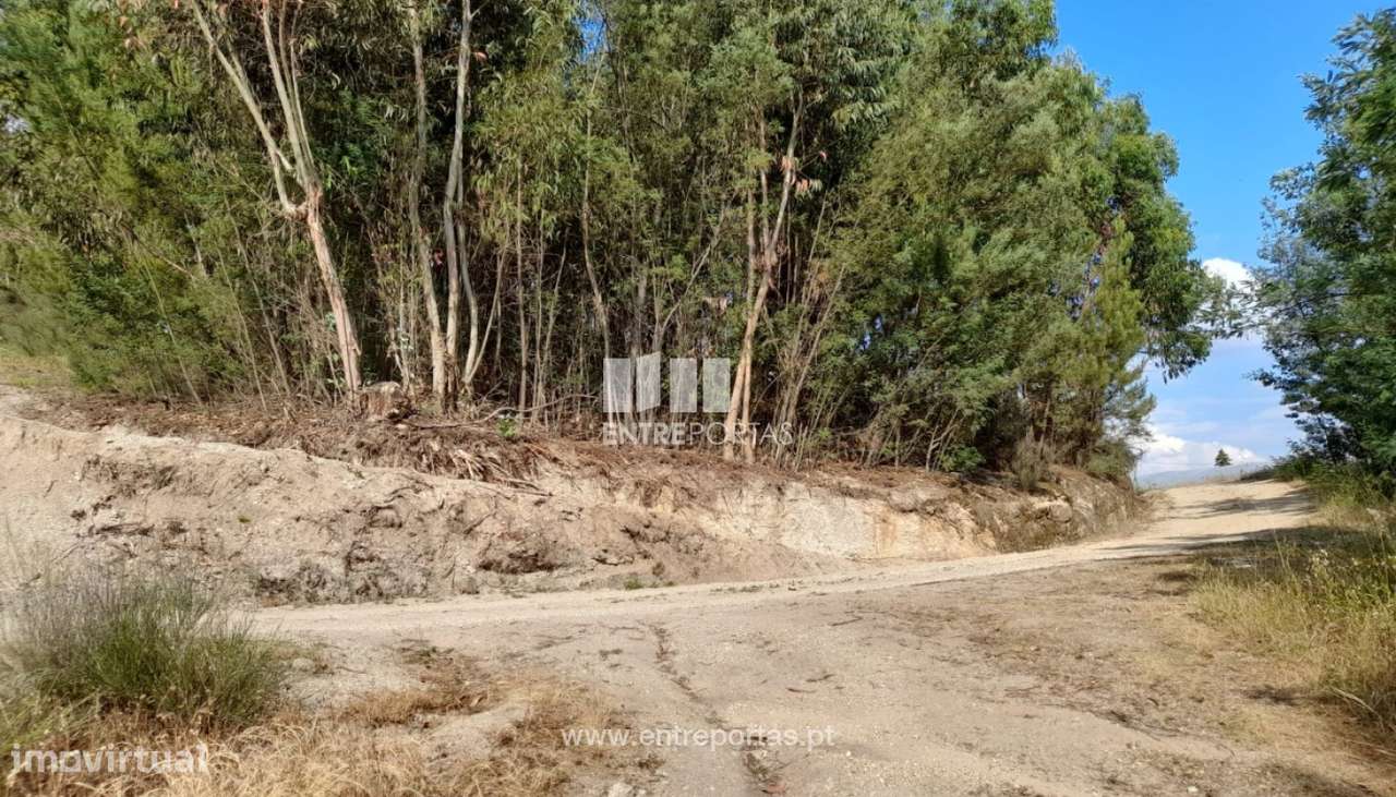 Venda Terreno, Lomba, Amarante - Grande imagem: 5/31