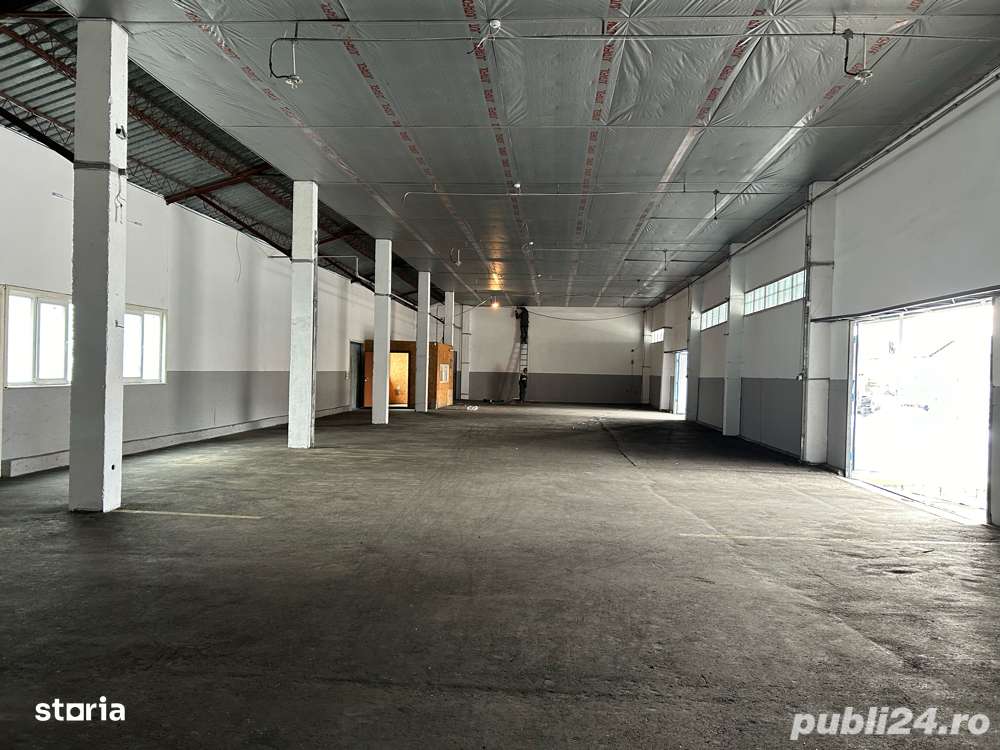 Hale de inchiriat de 250 mp si 650 mp str Constantin Musat - Imagine principală: 3/5