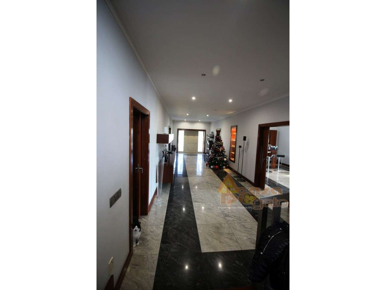 Moradia de 4 frentes com cave de 700 M2-6