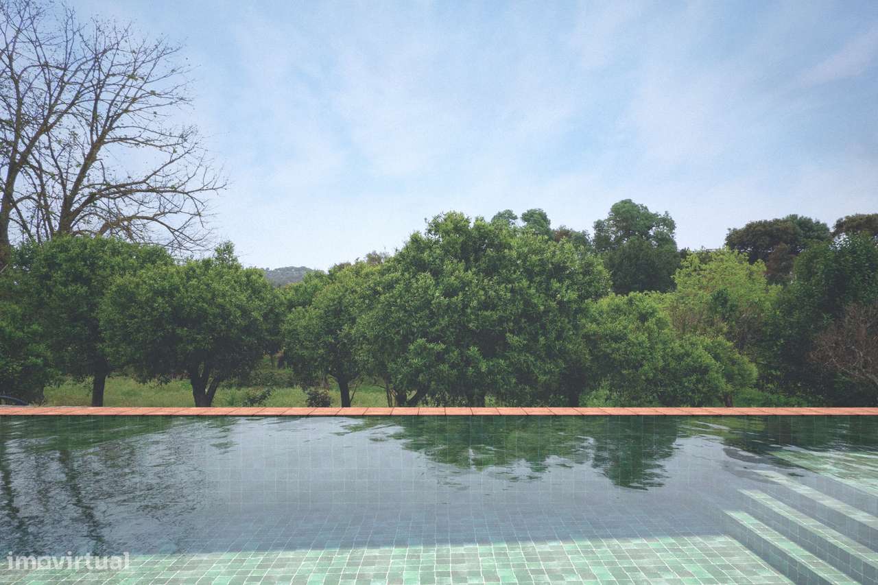 Quinta em Borba: projeto de enoturismo e vinha DOP, Alentejo-27