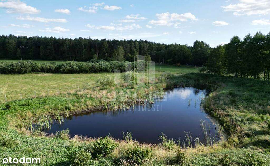 Serce Borów Tucholskich - Unikat !! - Pełny obrazek: 5/10