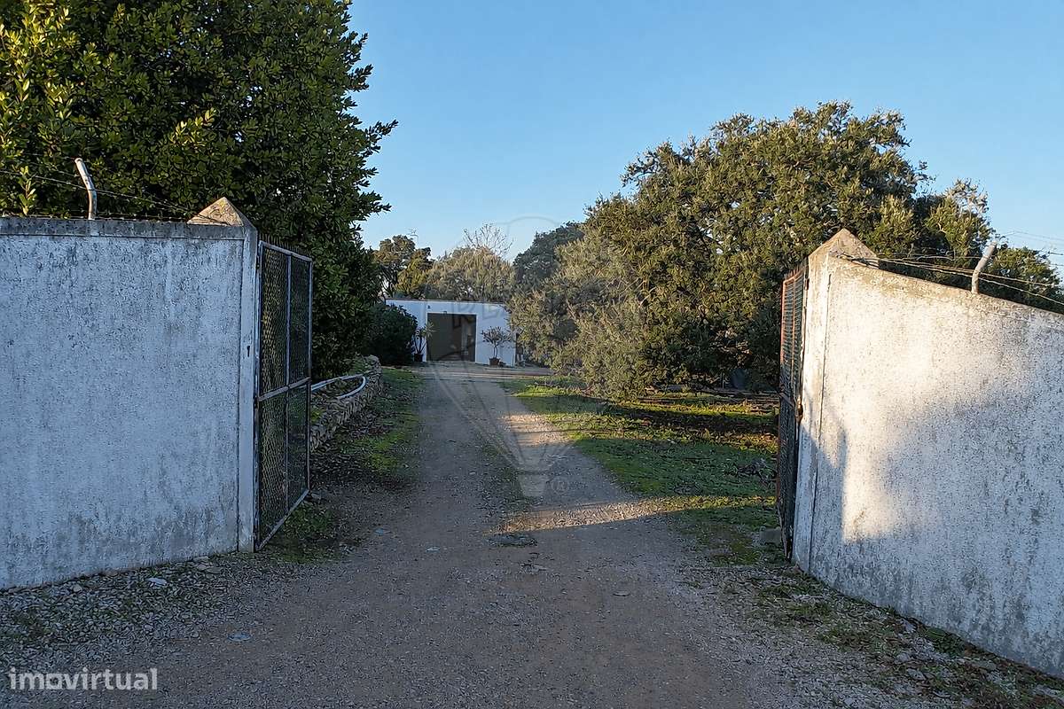 Terreno  para venda-12