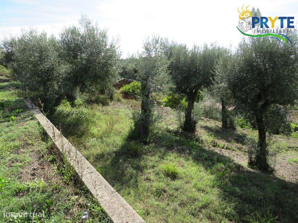 Moradia T3 situada em Outeiro da Lagoa, a apenas 5 minutos da Sertã-14