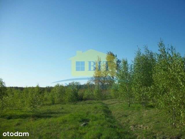 Działka 2,19 ha, przy jeziorze Drawsko-8