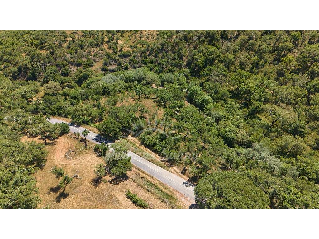 Propriedade Rústica de Montado com Ribeira | 22,6 Hectares | Serra ...-18