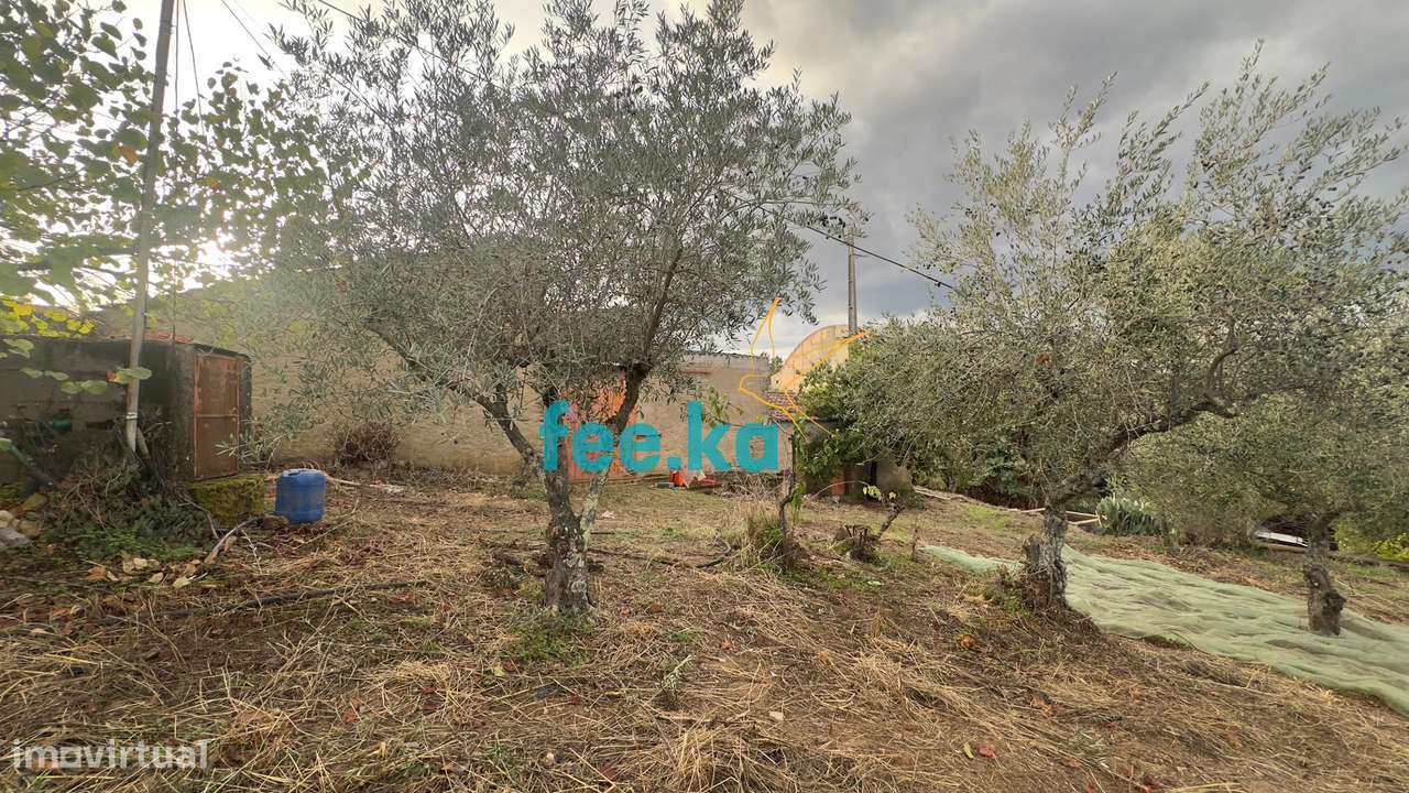 Quintinha-20