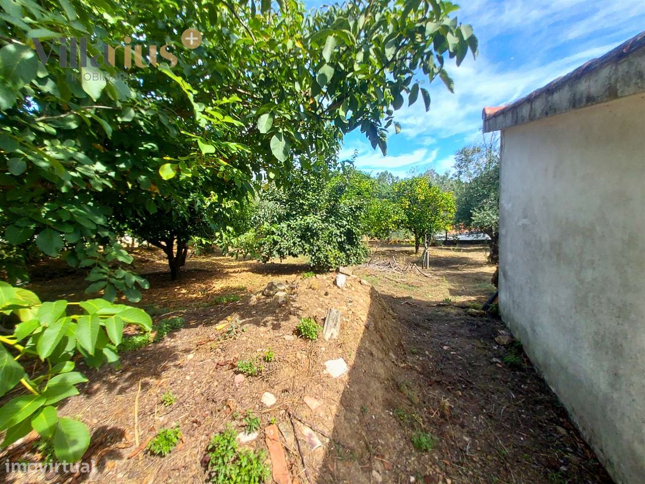 Moradia T3+1 à Venda em Tomar – Espaço e Natureza-38