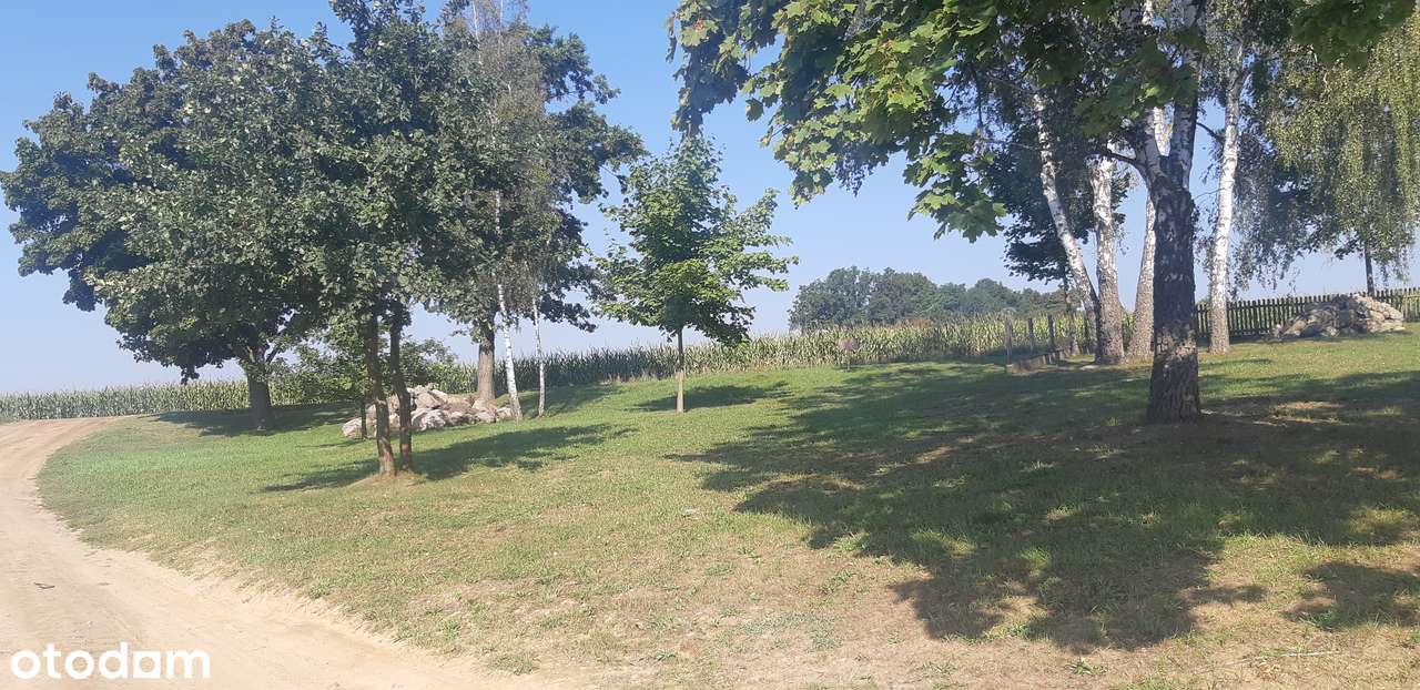 Sprzedam nietuzinkową działkę budowlaną 1000m2 pod Sierakowem Wlkp. - Pełny obrazek: 5/16