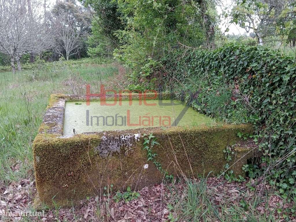 Quinta com Projeto para Turismo Rural em São Pedro do Sul-48