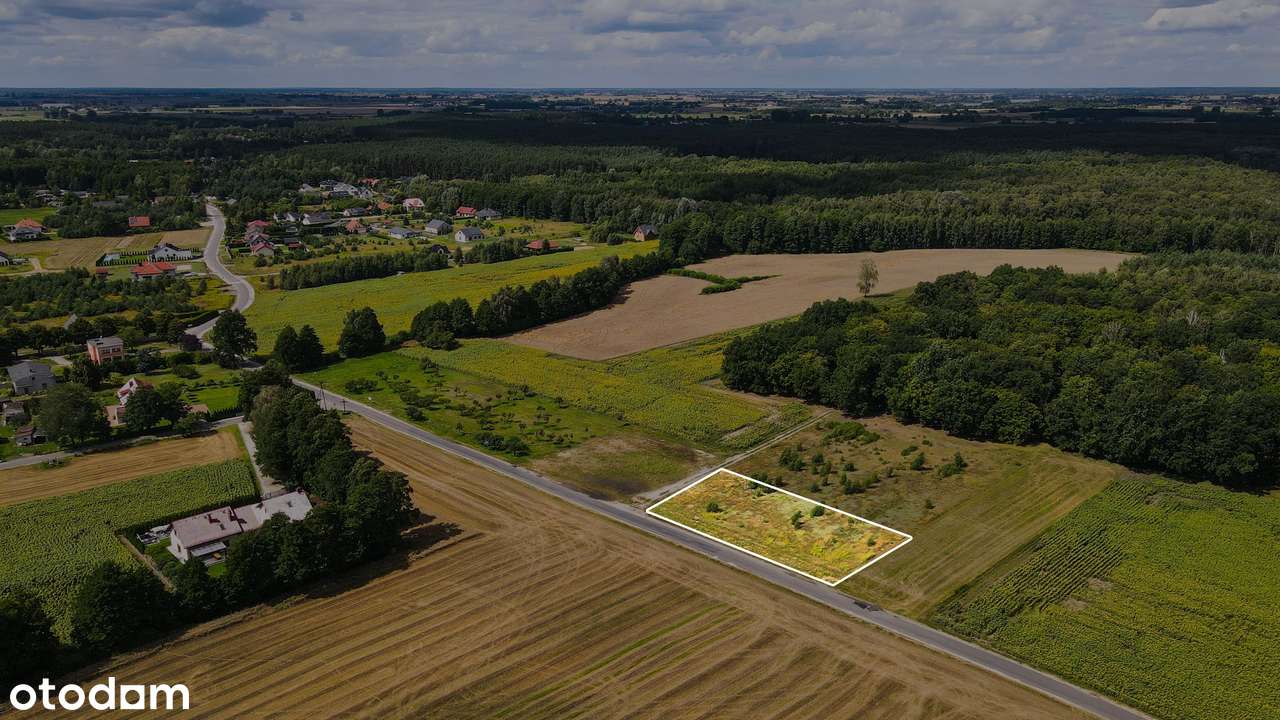 Działka budowlana przy lesie , Imielno powiat Gnieźnieński - Pełny obrazek: 5/8