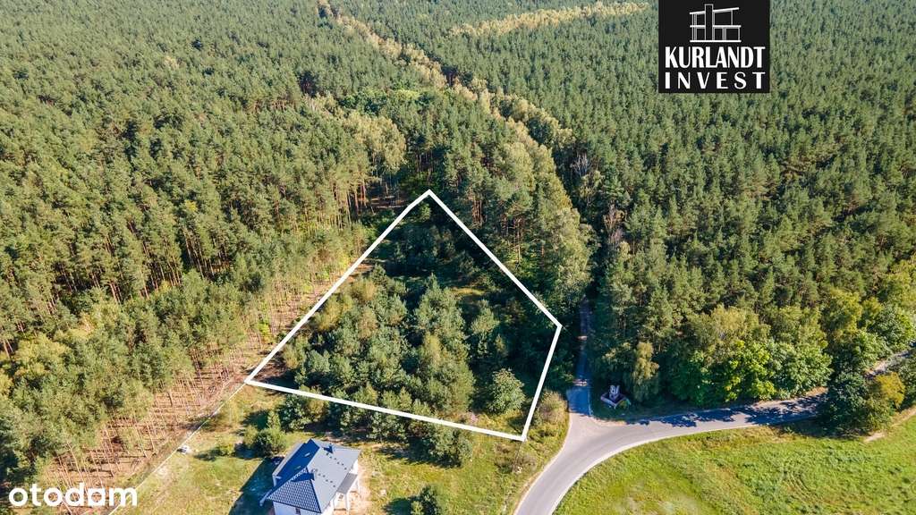 Działka budowlana 3.075 m² MPZP ściana lasu - Pełny obrazek: 3/6