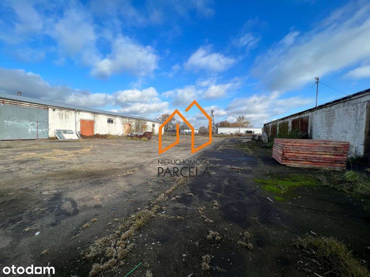 Hale, magazyny Bieganowo. - Pełny obrazek: 4/11