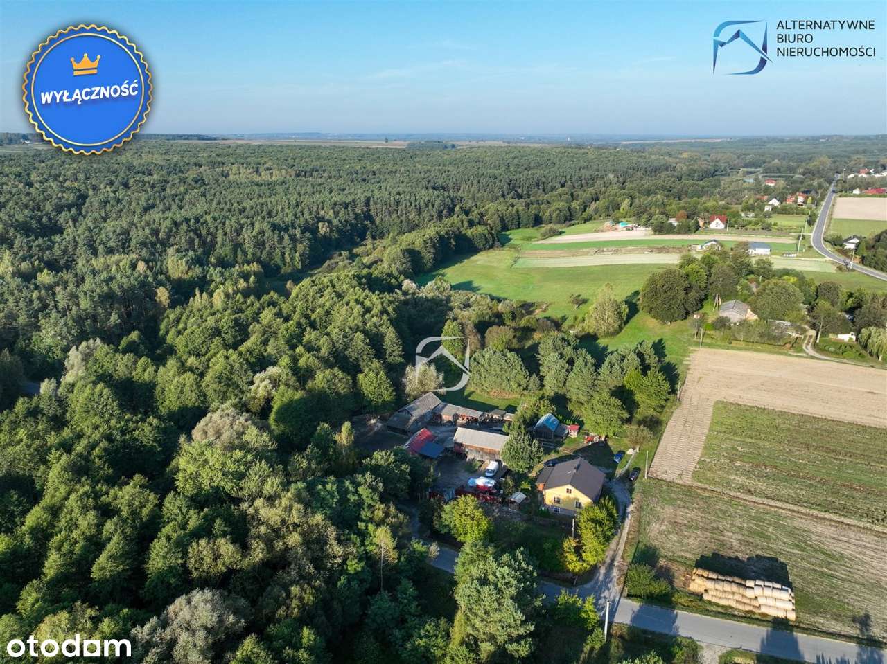 Unikatowa działka z wydaną WZ- Borów Kolonia - Pełny obrazek: 4/14