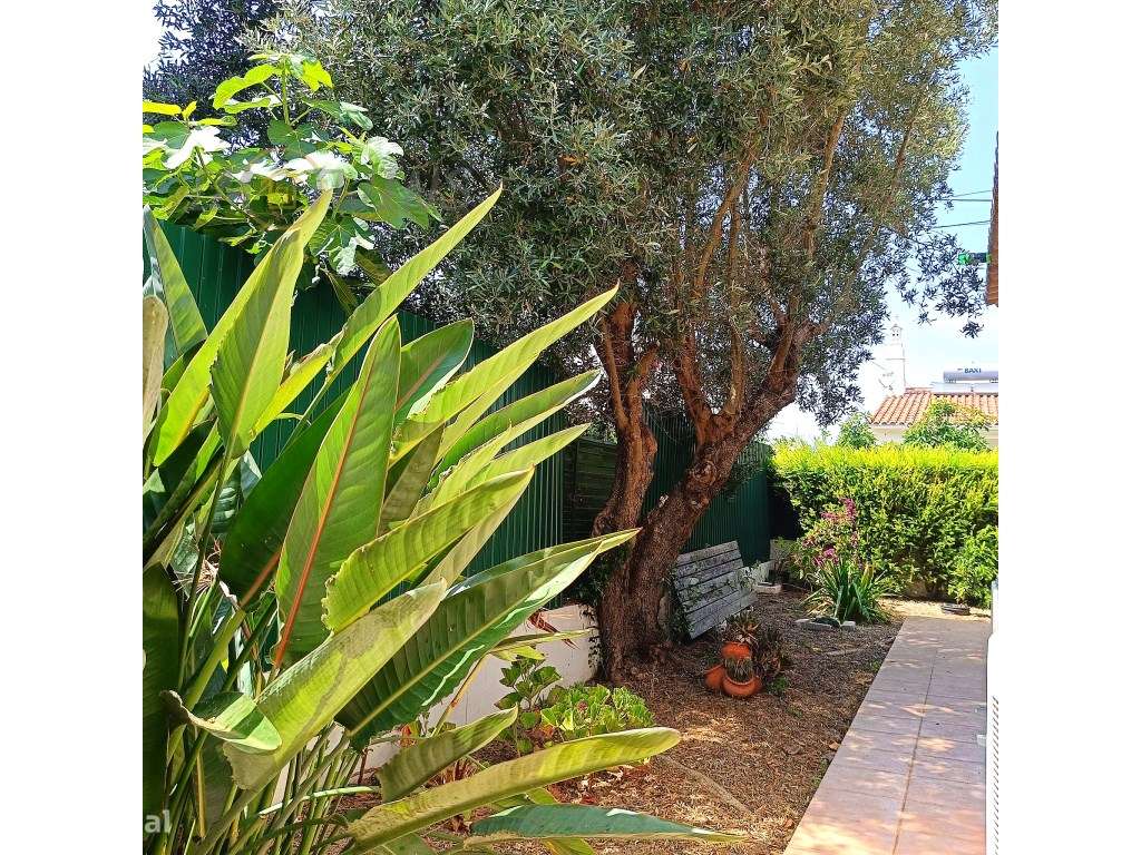 Moradia com piscina e jardim em Carvoeiro-14