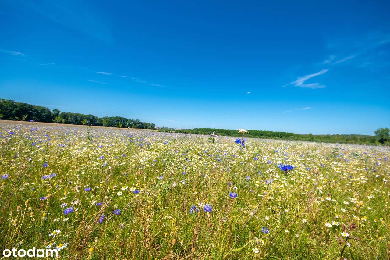 Budowlana w MPZP - bez podatku PCC - transze 2 lata bez odsetek-6