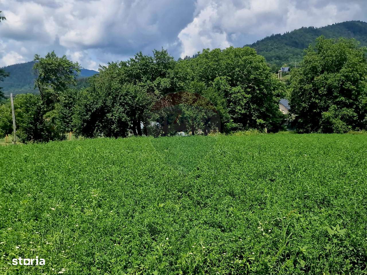 Teren intravilan 1000 mp – Viișoara, utilități - Imagine principală: 5/20