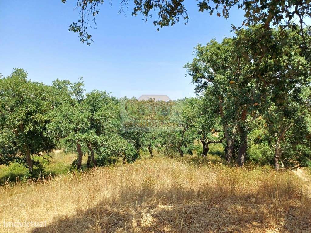 PROJECTO APROVADO para HOTEL RURAL - Terreno com 12 hectares e ruín... - Grande imagem: 5/18