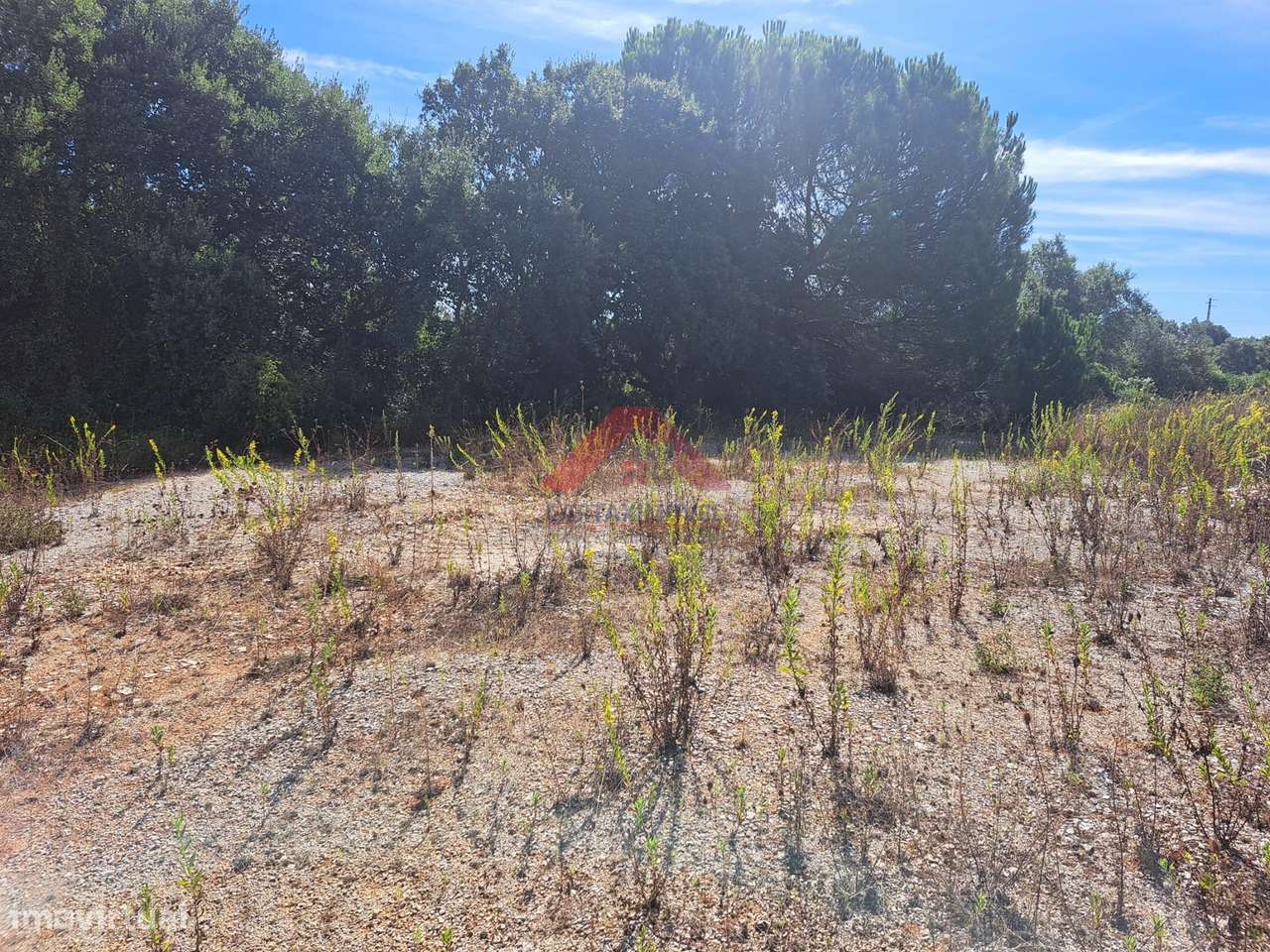 Terreno Rústico  Venda em Cartaxo e Vale da Pinta,Cartaxo - Grande imagem: 5/12