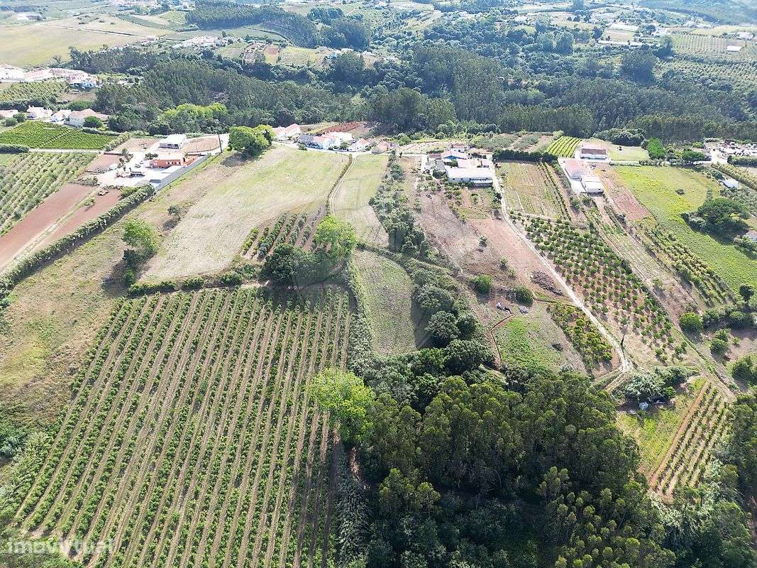 Terreno  para venda - Grande imagem: 4/6