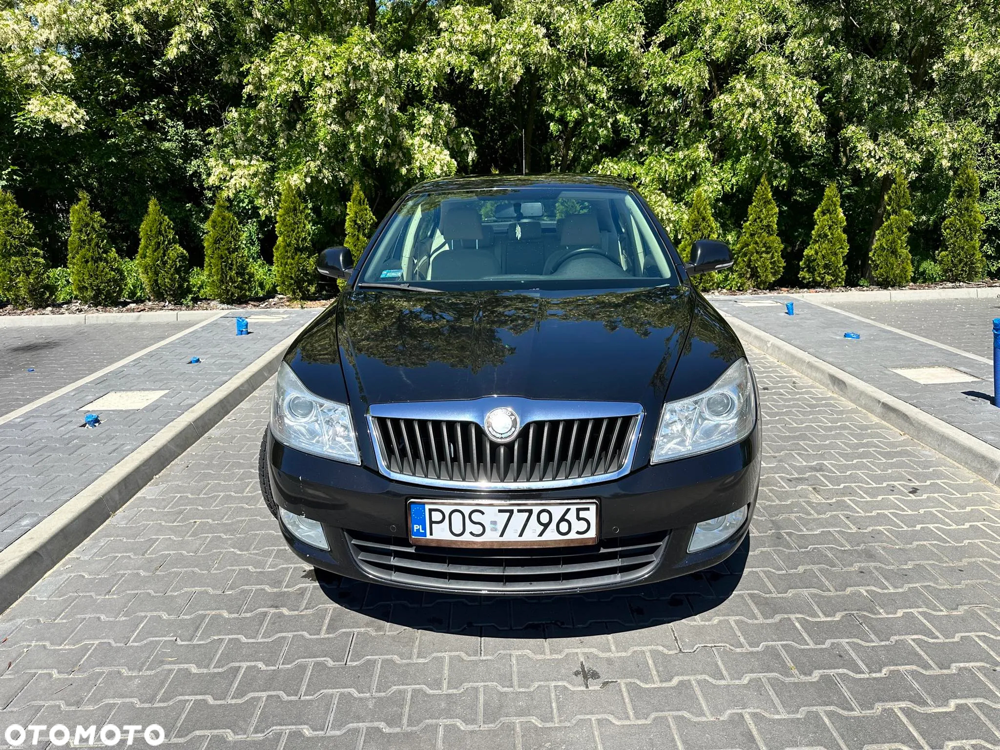 Skoda Octavia 1.8 TSI Elegance DSG - 6