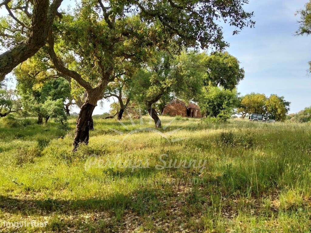 Terreno Misto São Francisco da Serra-4