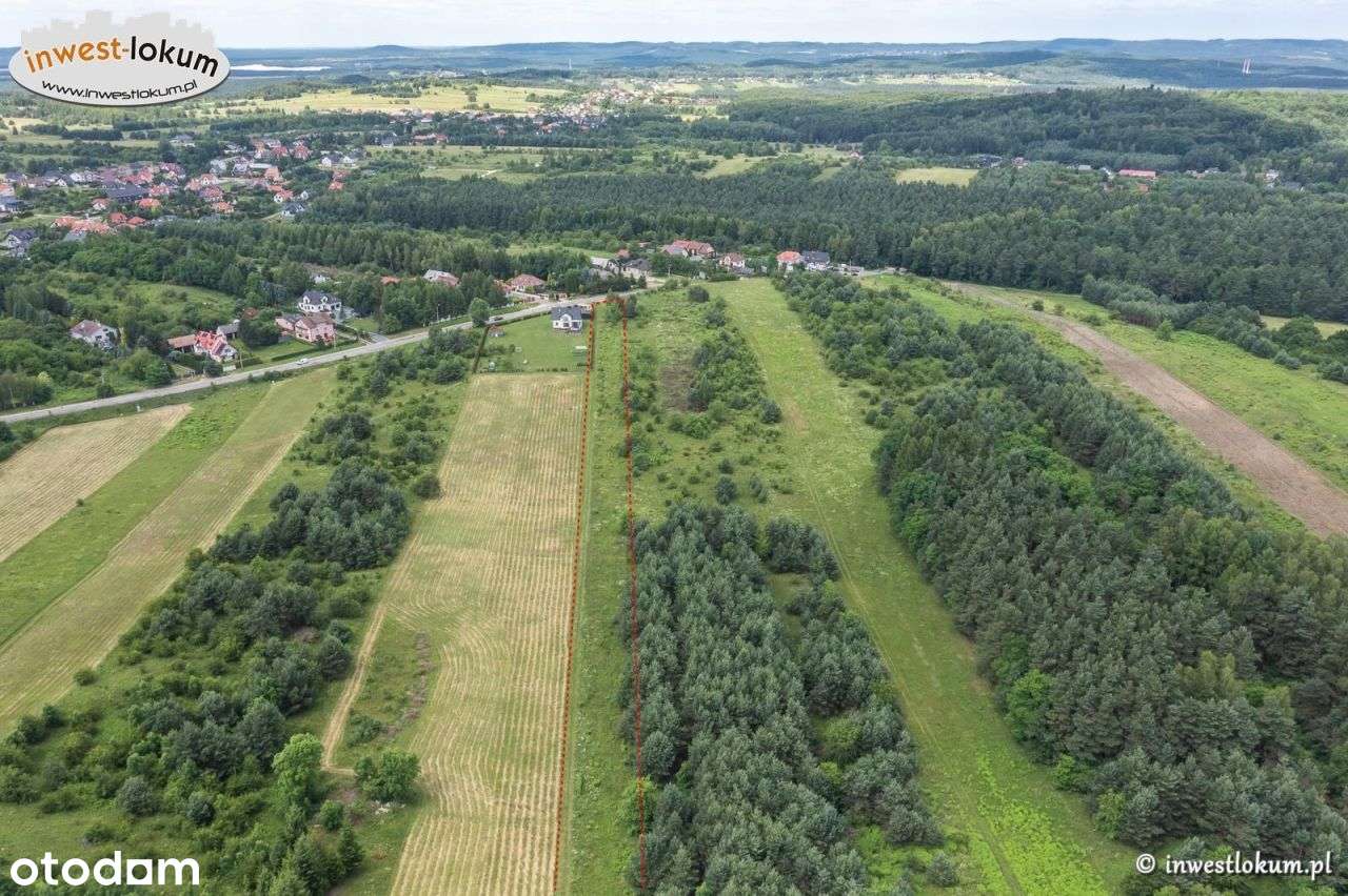 Działka, 5 440 m², Olkusz - Pełny obrazek: 5/7