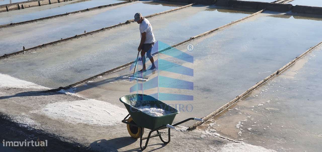 Apartamento T2  +1 com Varandas e Lugar Garagem-10