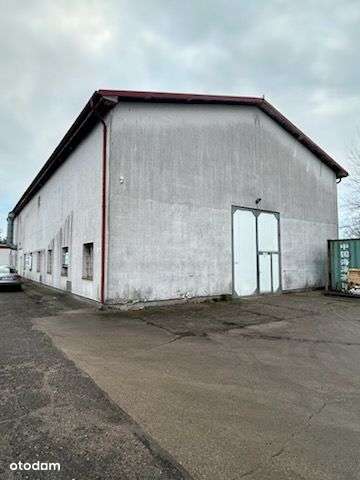 Hala/Magazyn, 474 m², Gryfice - Pełny obrazek: 5/5