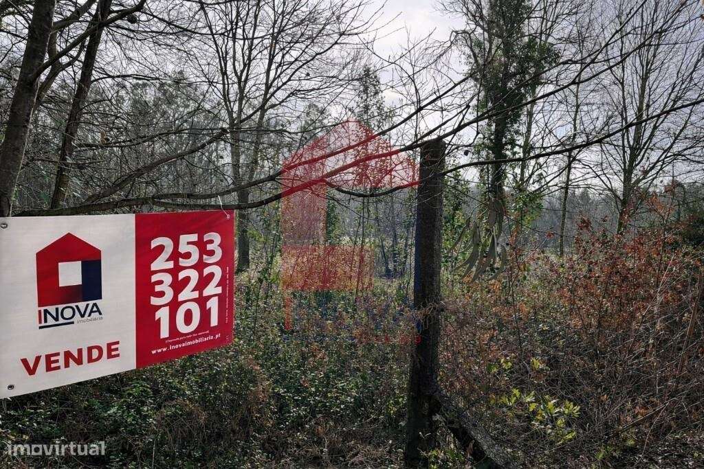 Terreno Agrícola, Freiriz - Grande imagem: 2/13