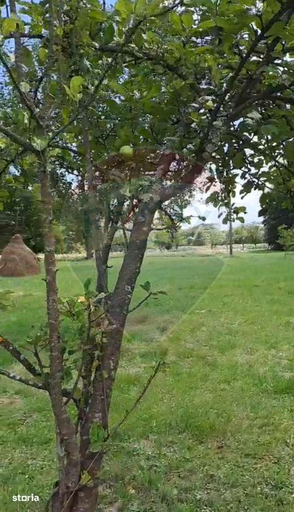 Casă langa parau-sat Brusturi, com. Halmagiu-12