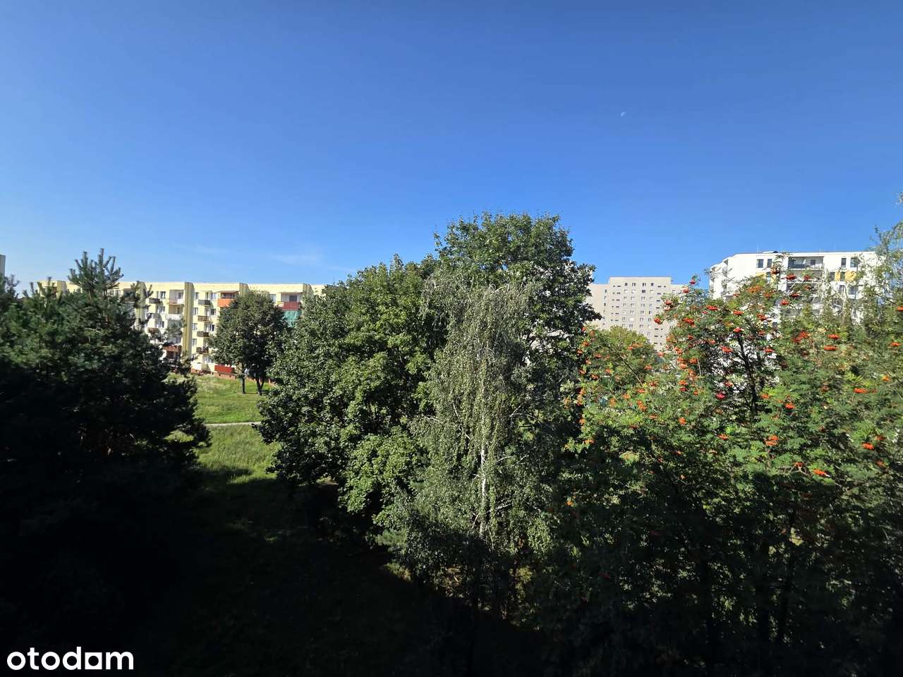 Polecam! Mieszkanie trzypokojowe z loggią, os Wschód-18