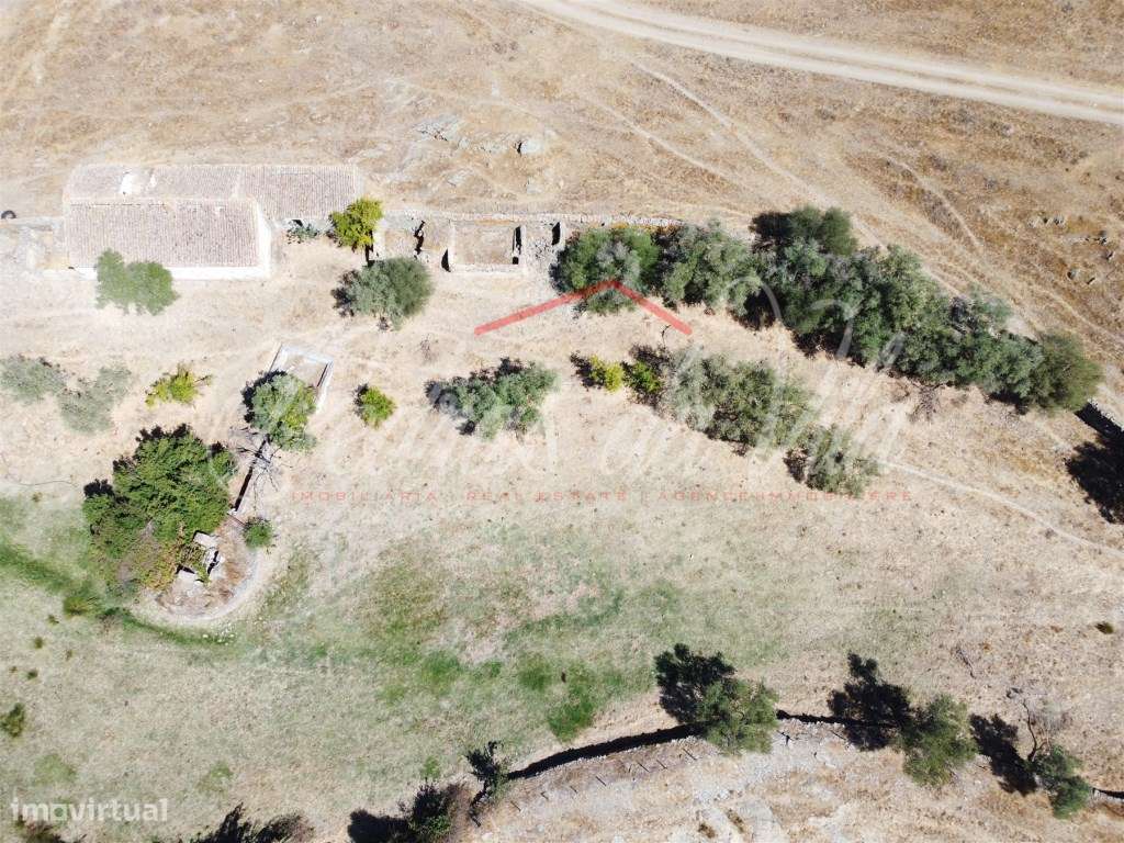 Propriédade de 119ha com varias ruinas - Castro Verde-15