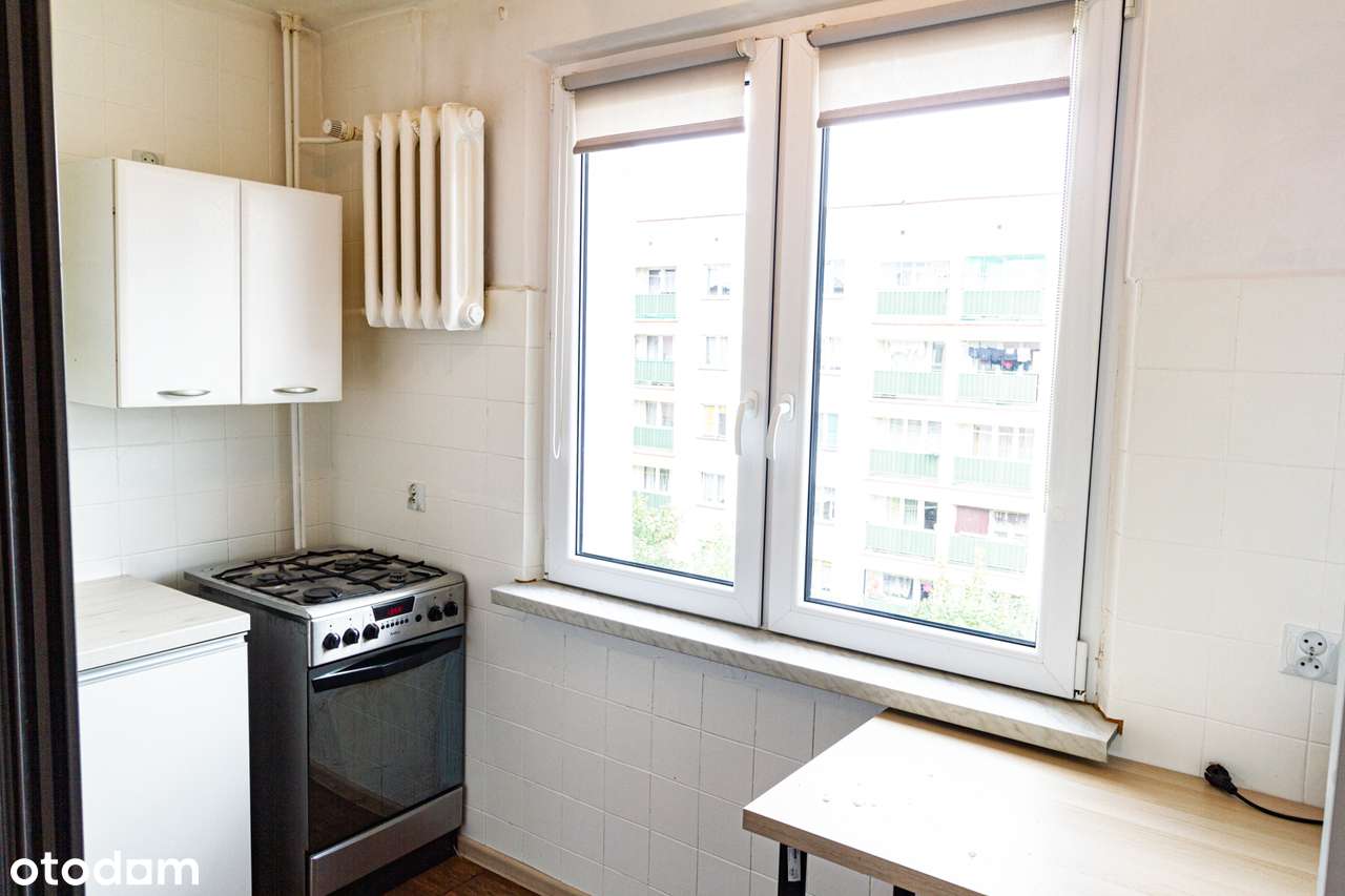 Bema idealne pod studentów - Pełny obrazek: 4/5