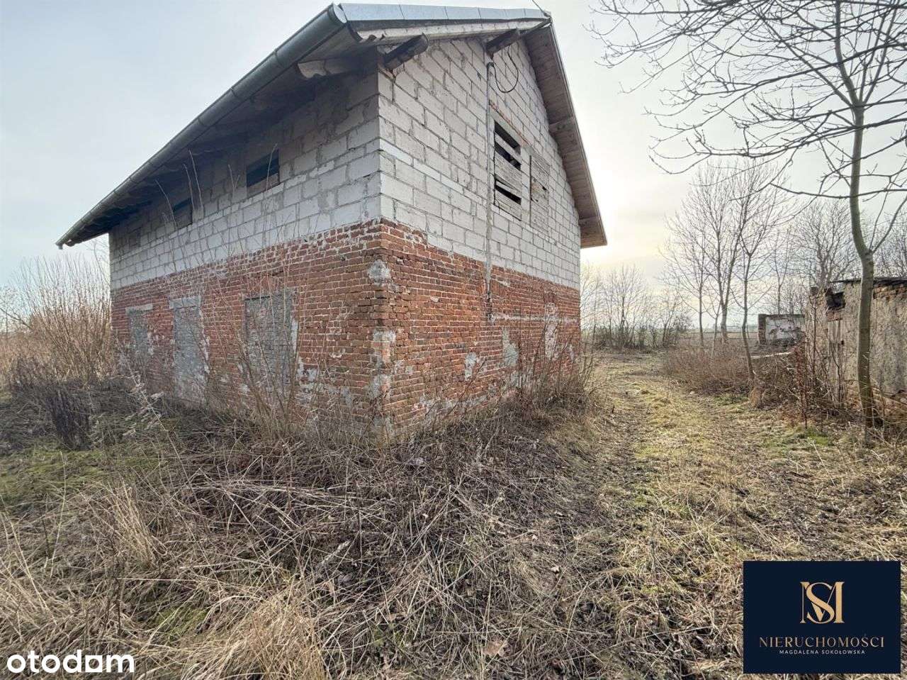 Działki rolne (odrębne gospodarstwo rolne) - Pełny obrazek: 4/9