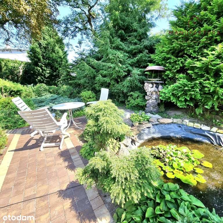 Dom z basenem z dużą działką - Pełny obrazek: 4/20