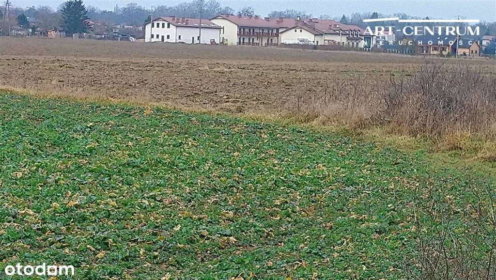 Działka Ciechocinek-4