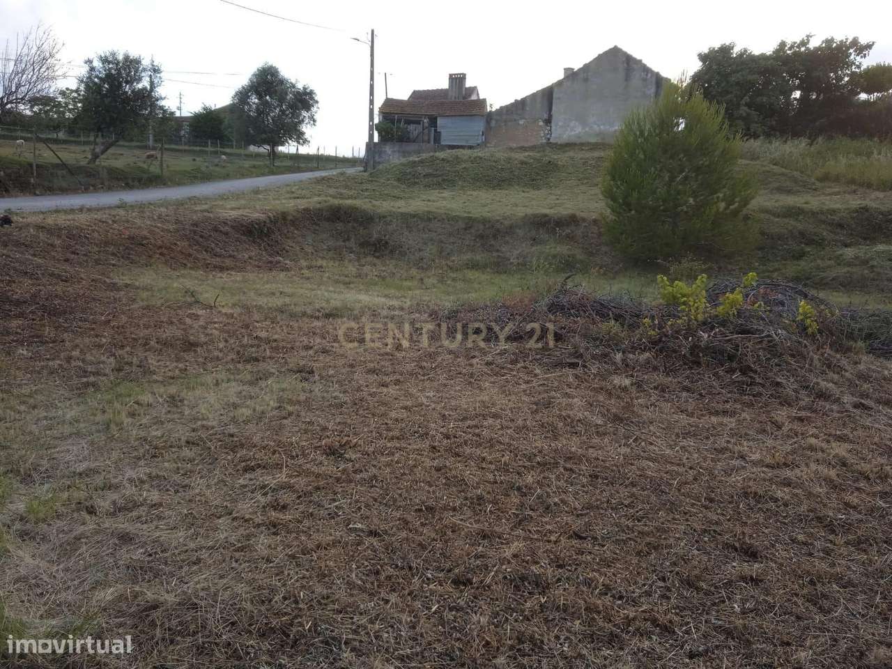 Terreno na Batalha | 1300m2 - Grande imagem: 3/3