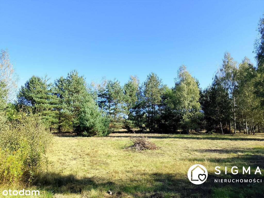 Piękna działka MPZP media Radziejowice-2