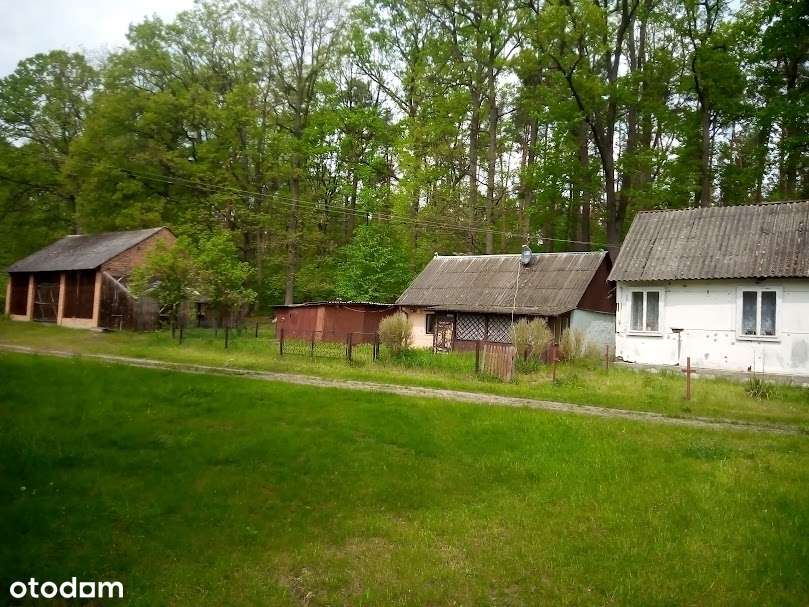 Duranów - Sprzedam działki pod lasem-4