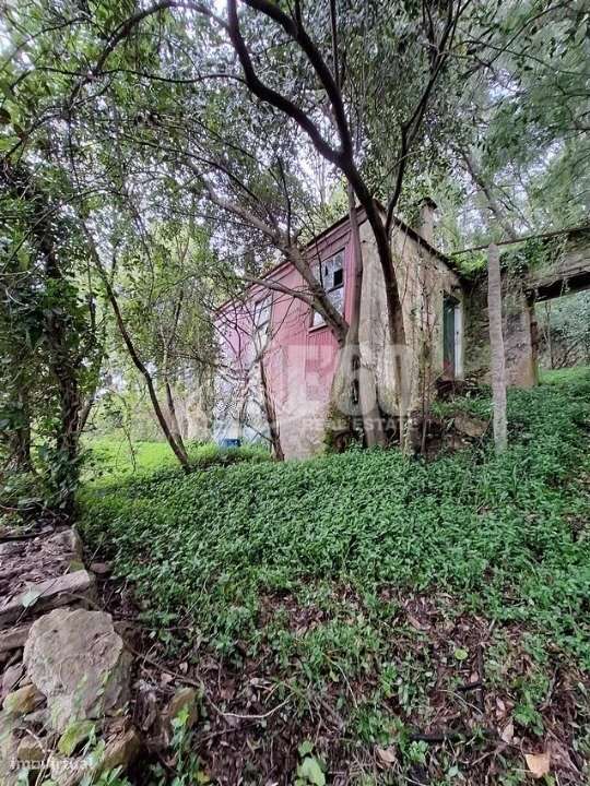 QUINTA COM RUINA OLIVEIRA DO DOURO - Grande imagem: 5/8